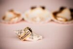 Best Tampa Florida Wedding & Event Photographer