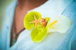 Best Tampa Florida Wedding & Event Photographer