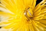 Best Tampa Florida Wedding & Event Photographer