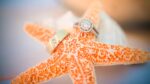 Best Tampa Florida Wedding & Event Photographer