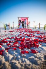 Best Tampa Florida Wedding & Event Photographer