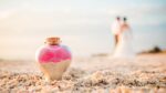 Best Tampa Florida Wedding & Event Photographer