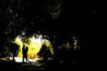 Best Tampa Florida Wedding & Event Photographer